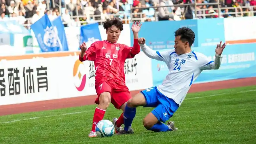 雨燕直播nba在线观看官网